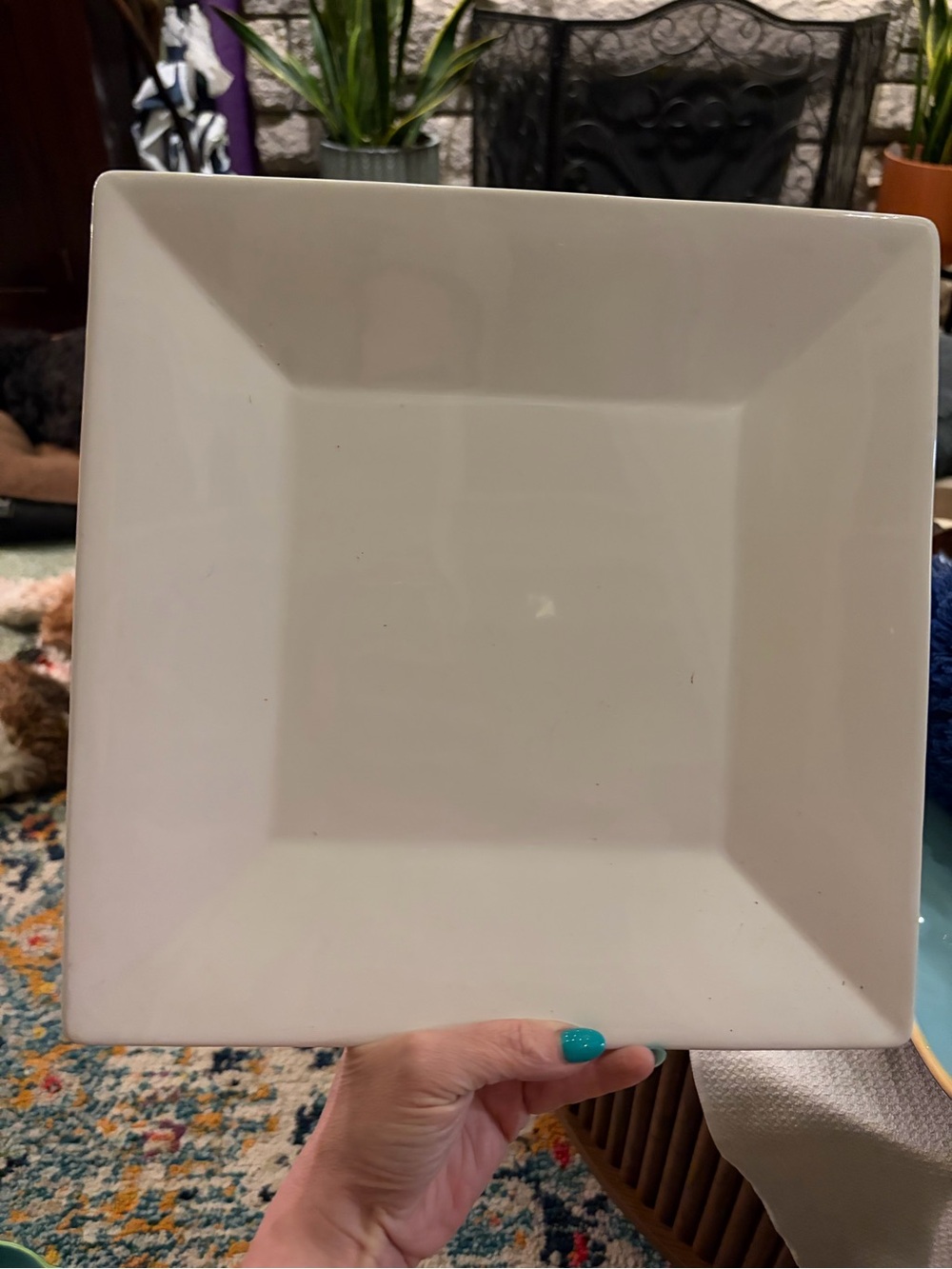 White Square Ceramic Dinner Plate - Classic Plain Design—Mesa International